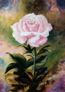 Pink Rosaly-70x50 olaj, vaszon